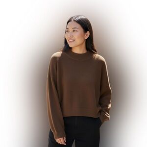 H&M Dark Brown Crewneck Sweater Size XL